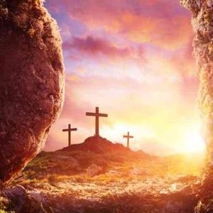 Meet your Posher, Noah